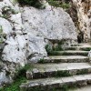 Green Stairs WQ