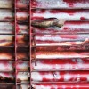 Spraypaint WQ