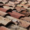 Terra Cotta Horizon