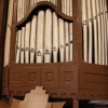 organ 4
