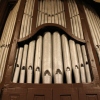 organ 5