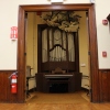 organ 6