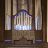 organ lights