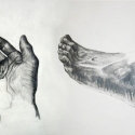 Hand & Foot