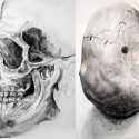 Skull Study